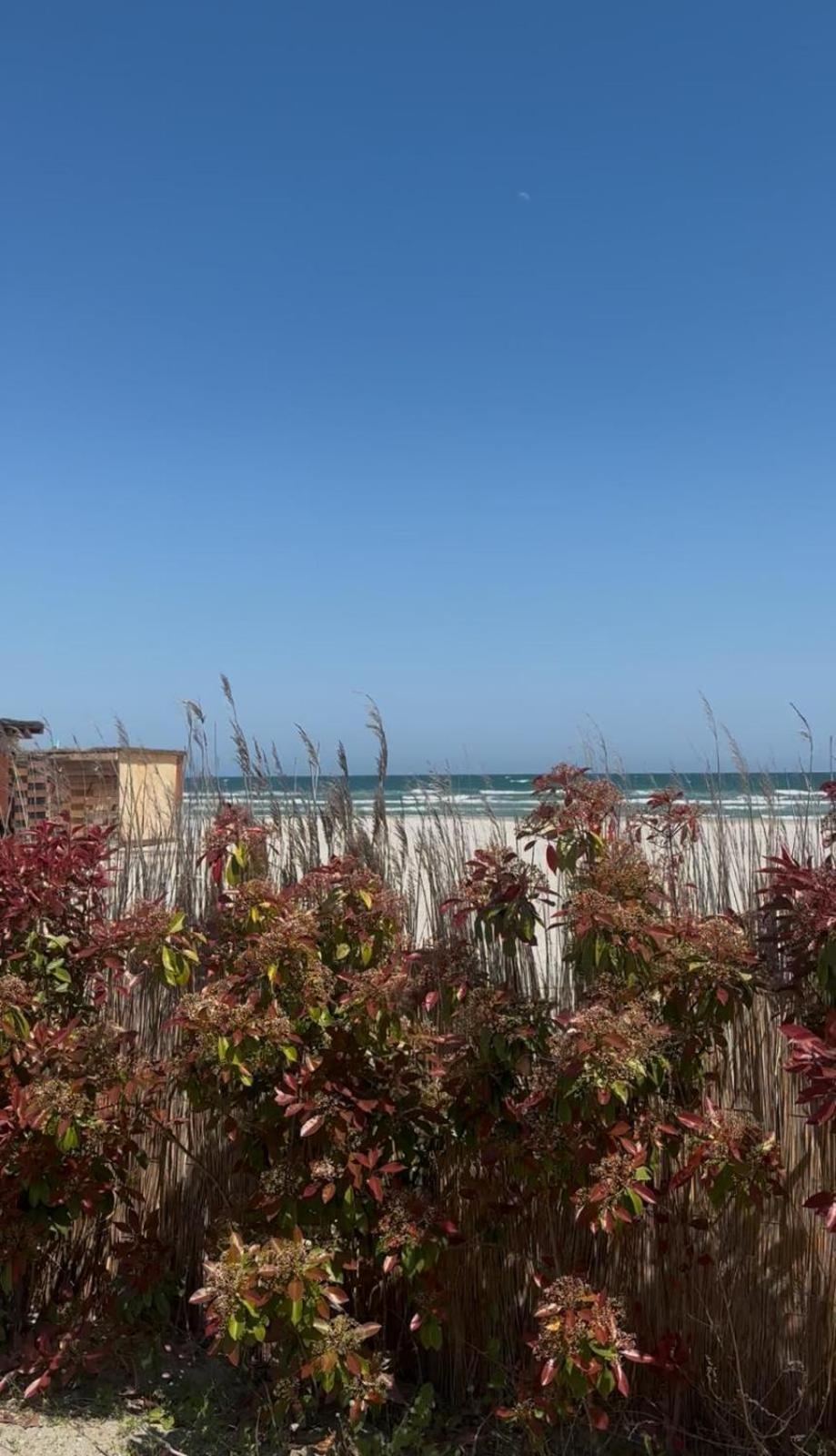Sea View Luxury Apartament Navodari Bagian luar foto